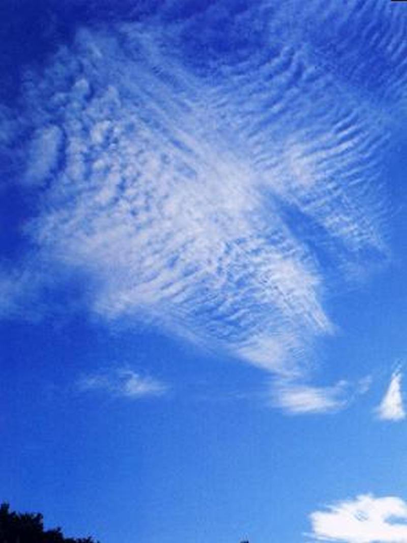 雲の種類とその特徴を教えてください。 | 理科年表オフィ …