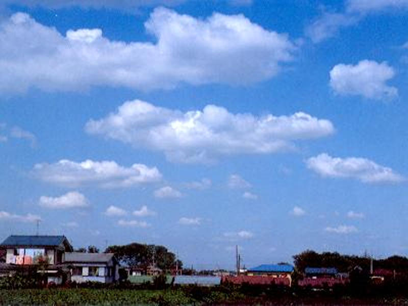 雲の種類とその特徴を教えてください。 | 理科年表オフィシャルサイト